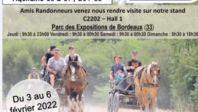 Salon du cheval de Bordeaux : ANNULE
