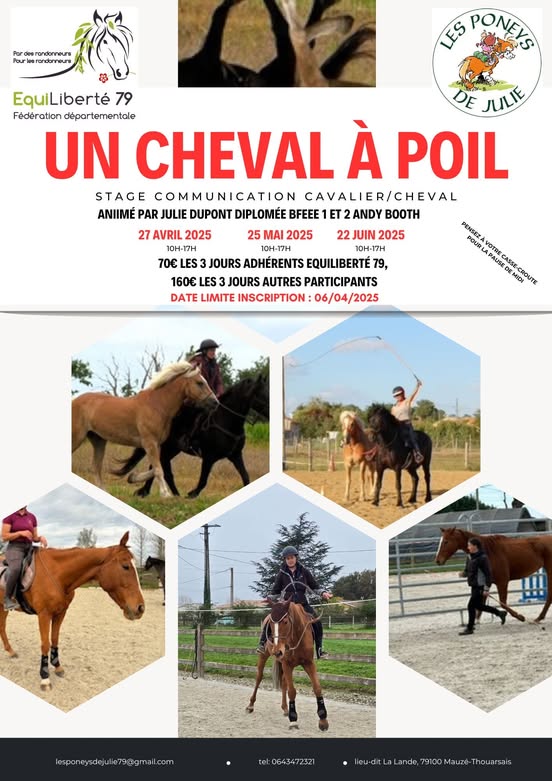 2025-04-27-Poneys-de-julie.jpg