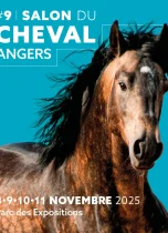 cheval4-jpg-1740x2020-c-center cheval4-jpg-1740x2020-c-center
