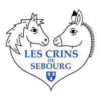 logo association Crins de Sebourg