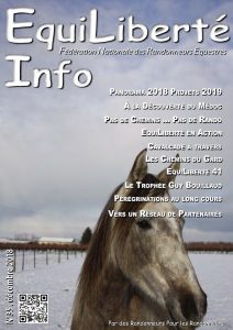EquiLiberté Info numéro 35, une image d'un cheval dans son champ enneigé