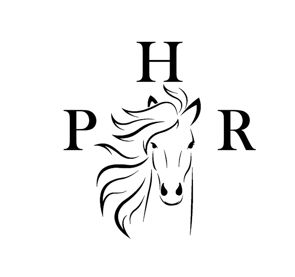 logo 49 PHR