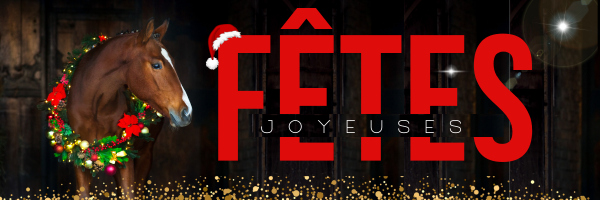 EQL-banniere-web-noel-joyeuses-fetes-2.png