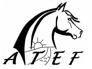 72200 – ATEF – Association de Tourisme Equestre Fléchois