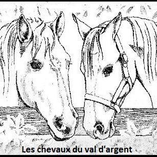 logo-79250-les-chevaux-du-val-dargent