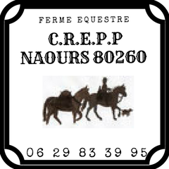 80260 – Pro – CREPP