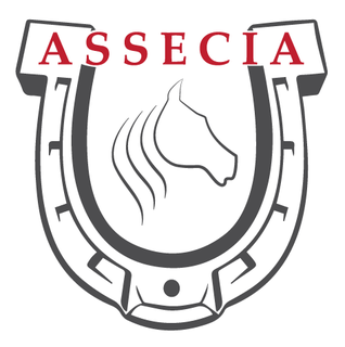 85610 – ASSECIA – ASSOCIATION DE L’ÉCURIE DE IALTA