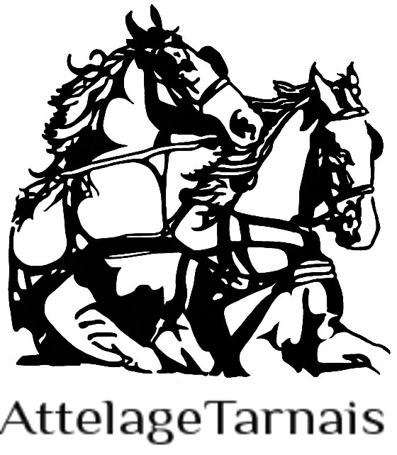 81450 – ATTELAGE TARNAIS