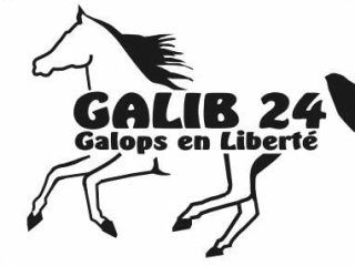 24420 – GALIB 24